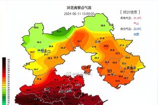 ?东契奇连续11场30+终结 此前刷新自己保持的队史纪录